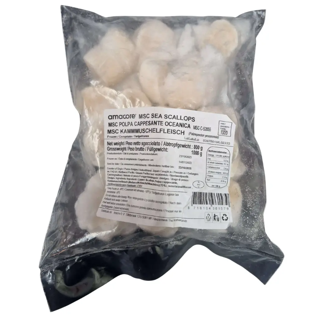 amacore MSC SEA SCALLOPS