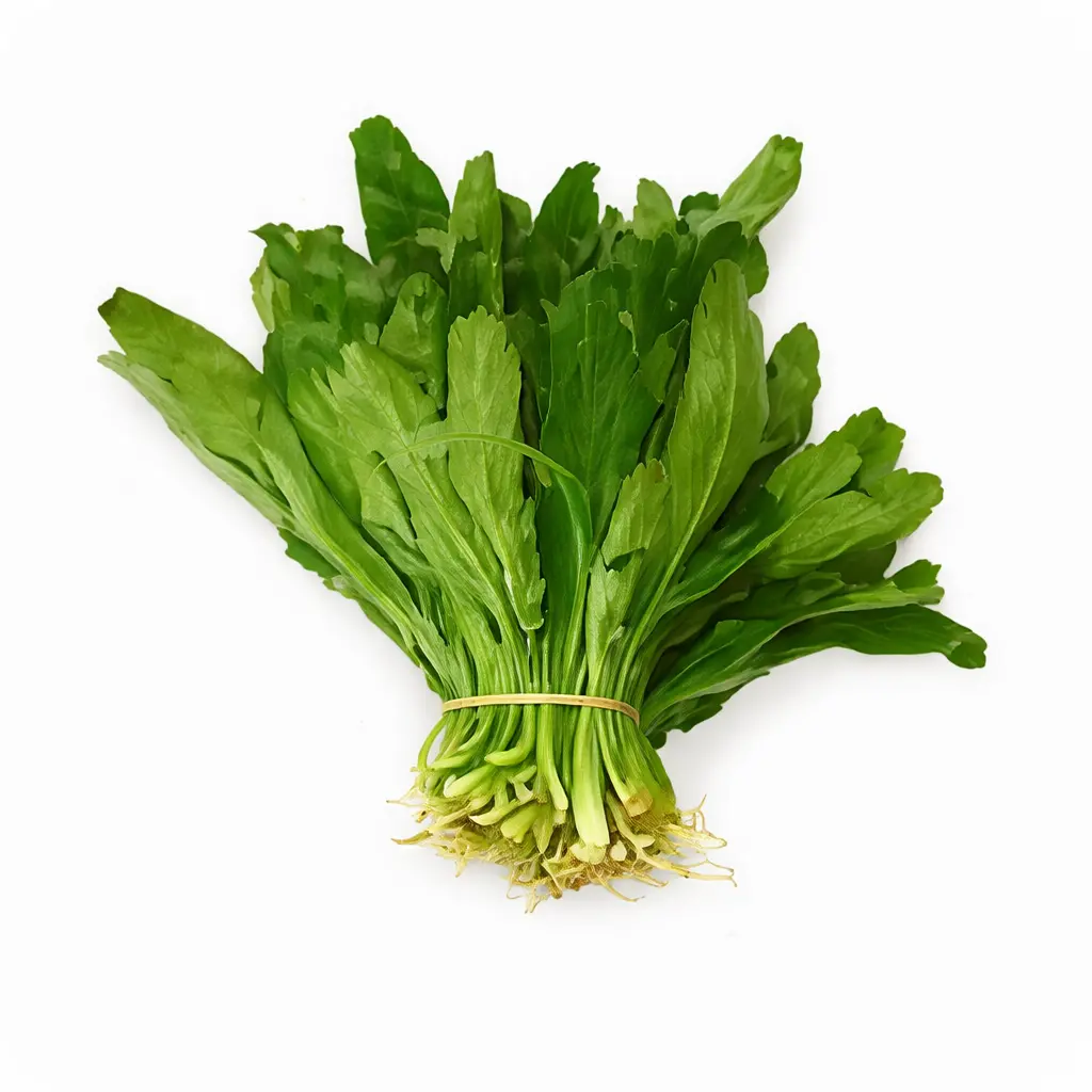 Culantro – Langer Koriander (Ngo Gai) 