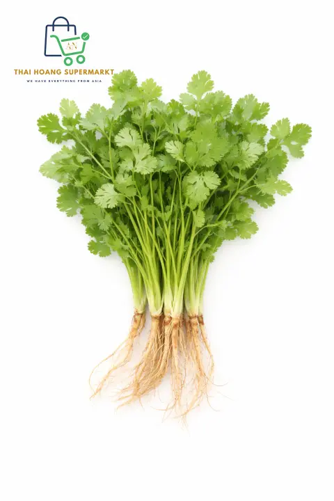 Sägeblatt-Koriander (Ngo Ri) 