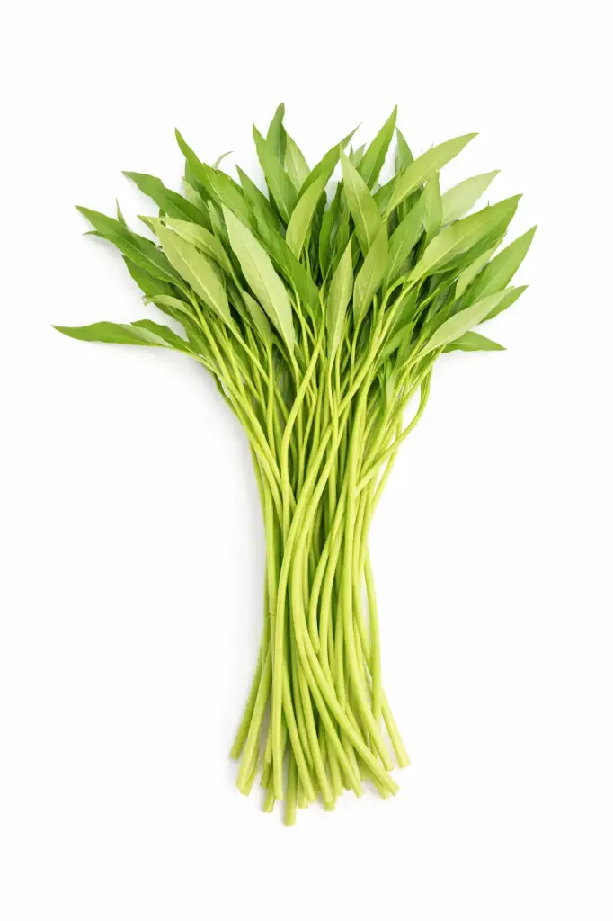 Wasserspinat (Rau Muong)