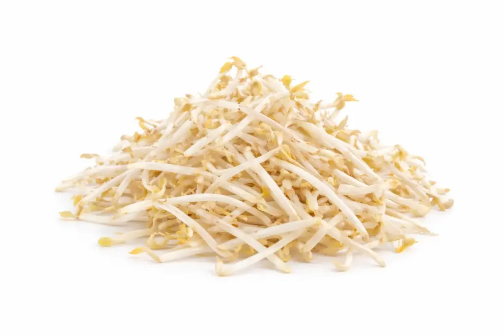 Mungbohnensprossen (Gia Do)