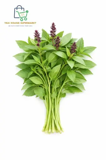 Thai Basilikum (Hung Que) 