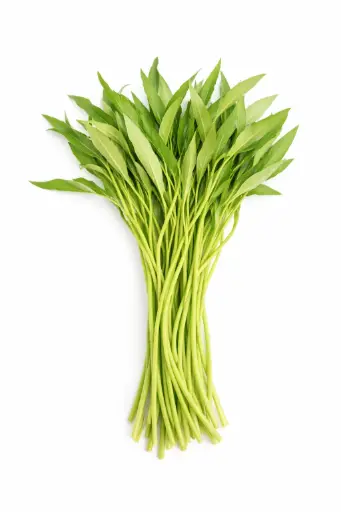 Wasserspinat (Rau Muong)