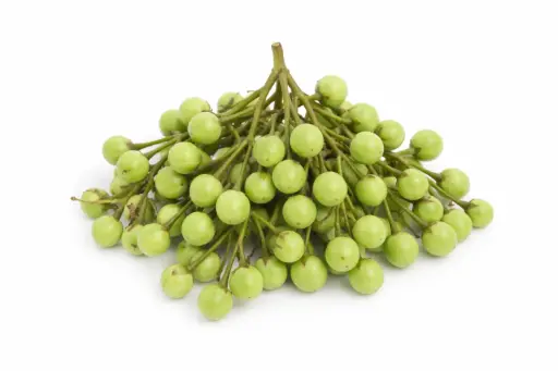 Thai-Aubergine mini, grün -Matreur Puang